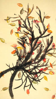 beech window shade